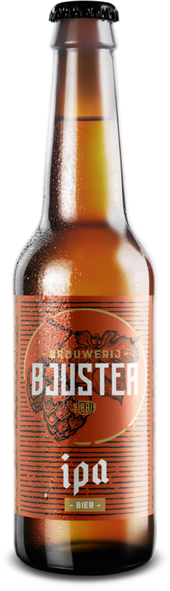 Bjuster IPA 12 * 0.33L